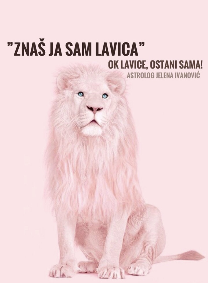 lavovi-i-njihov-ego